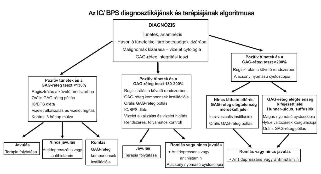 Az IC/BPS diagnosztikájának és terápiájának algoritmusa